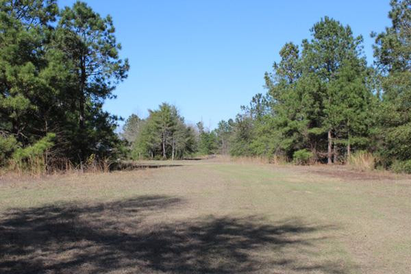 596 Knight Road Waynesboro, GA 30830 - Photo 7 of 12 Gallery Image 7