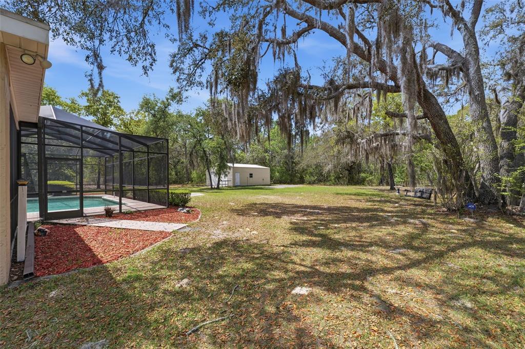 18805 Kelly Road Spring Hill, FL 34610 - Photo 32 of 68