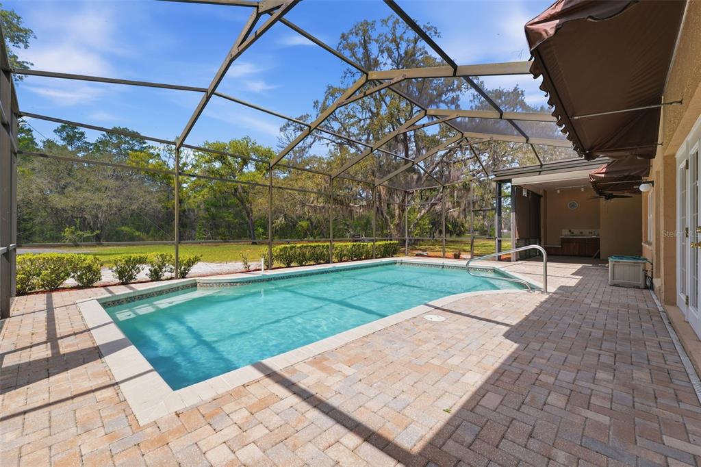 18805 Kelly Road Spring Hill, FL 34610 - Photo 58 of 68