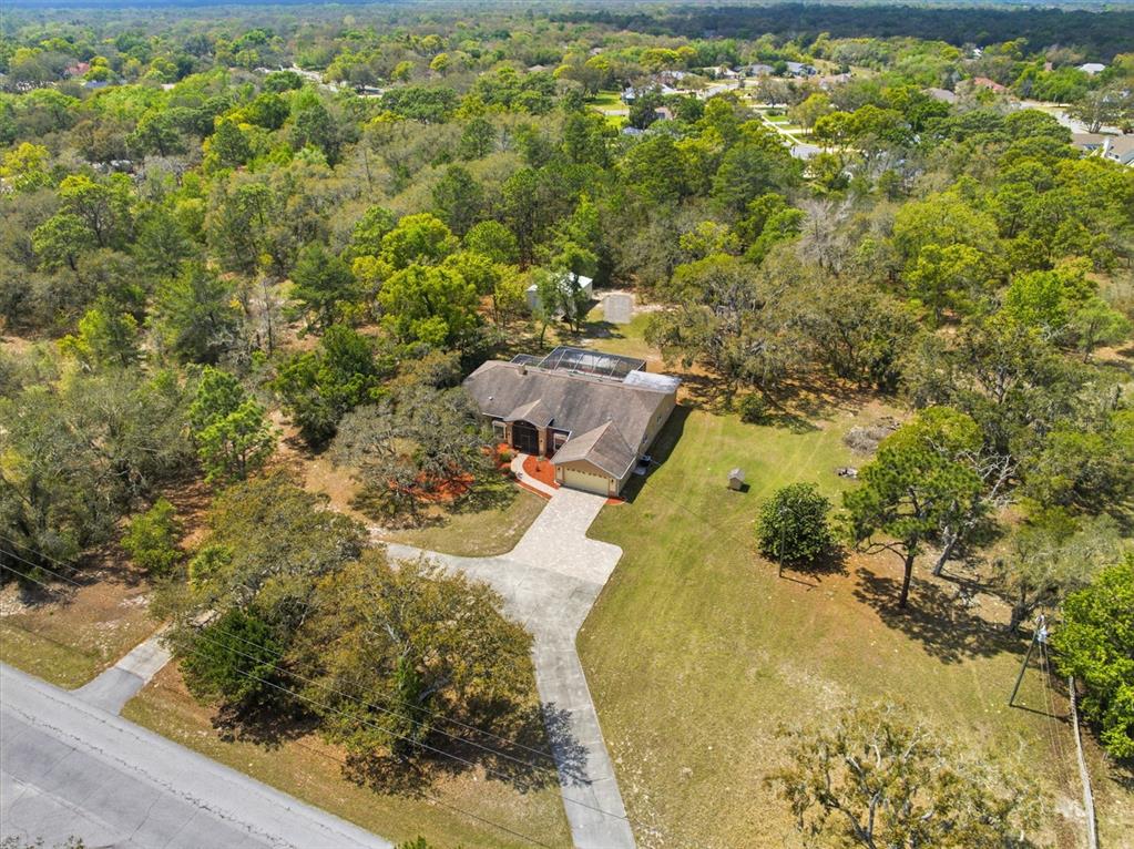 18805 Kelly Road Spring Hill, FL 34610 - Photo 62 of 68