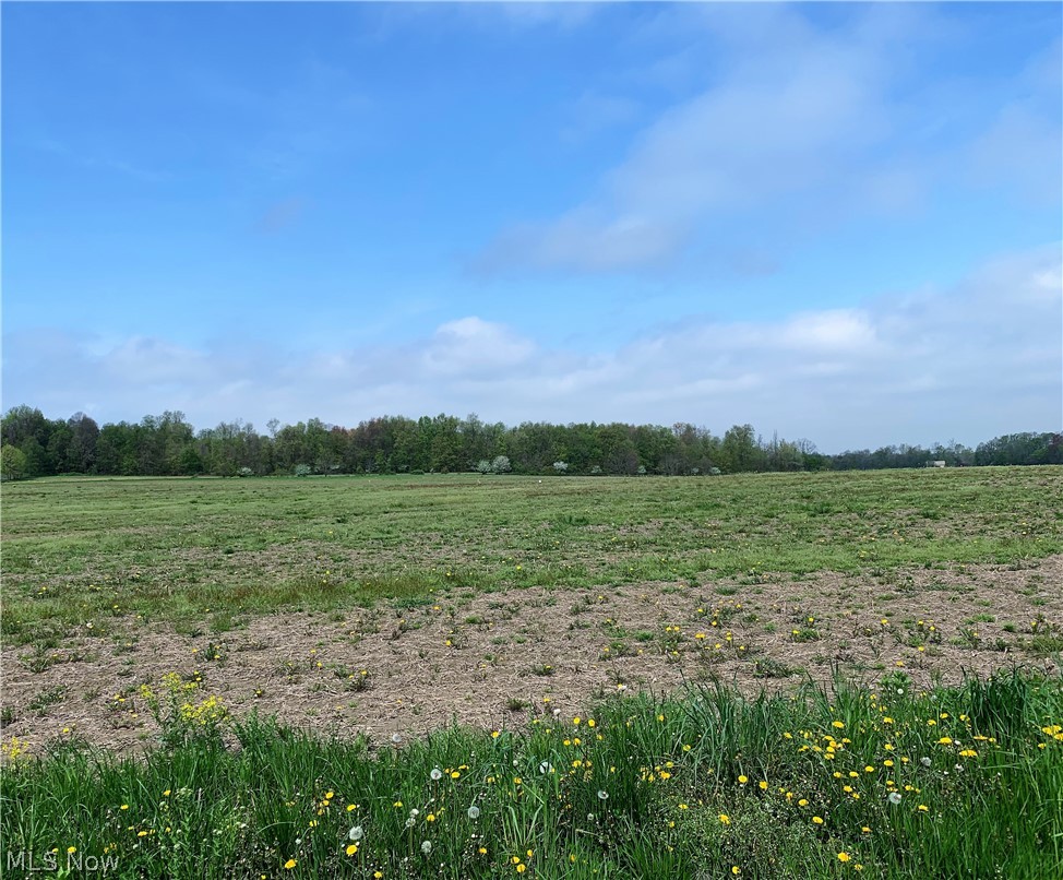 2 Beach Road Wadsworth, OH 44281 - Photo 2 of 2