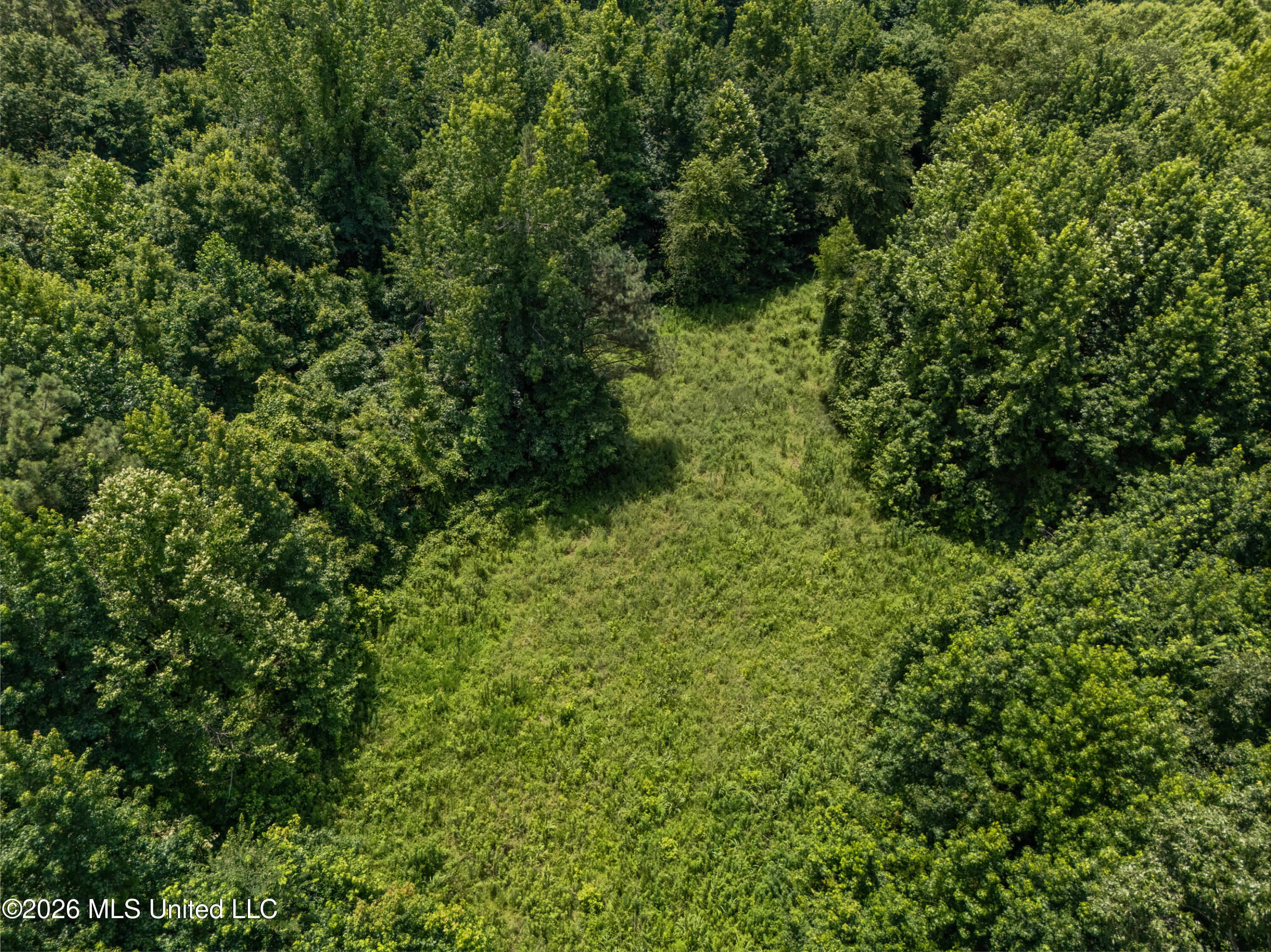 0 Freeman Drive Coldwater, MS 38618 - Photo 12 of 15 dji_20260701124637_0108_d_print