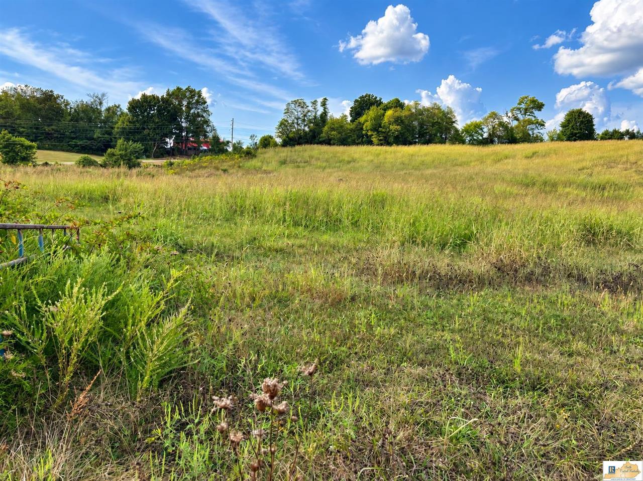 Roseville Road Glasgow, KY 42141 - Photo 6 of 14 Gallery Image 6