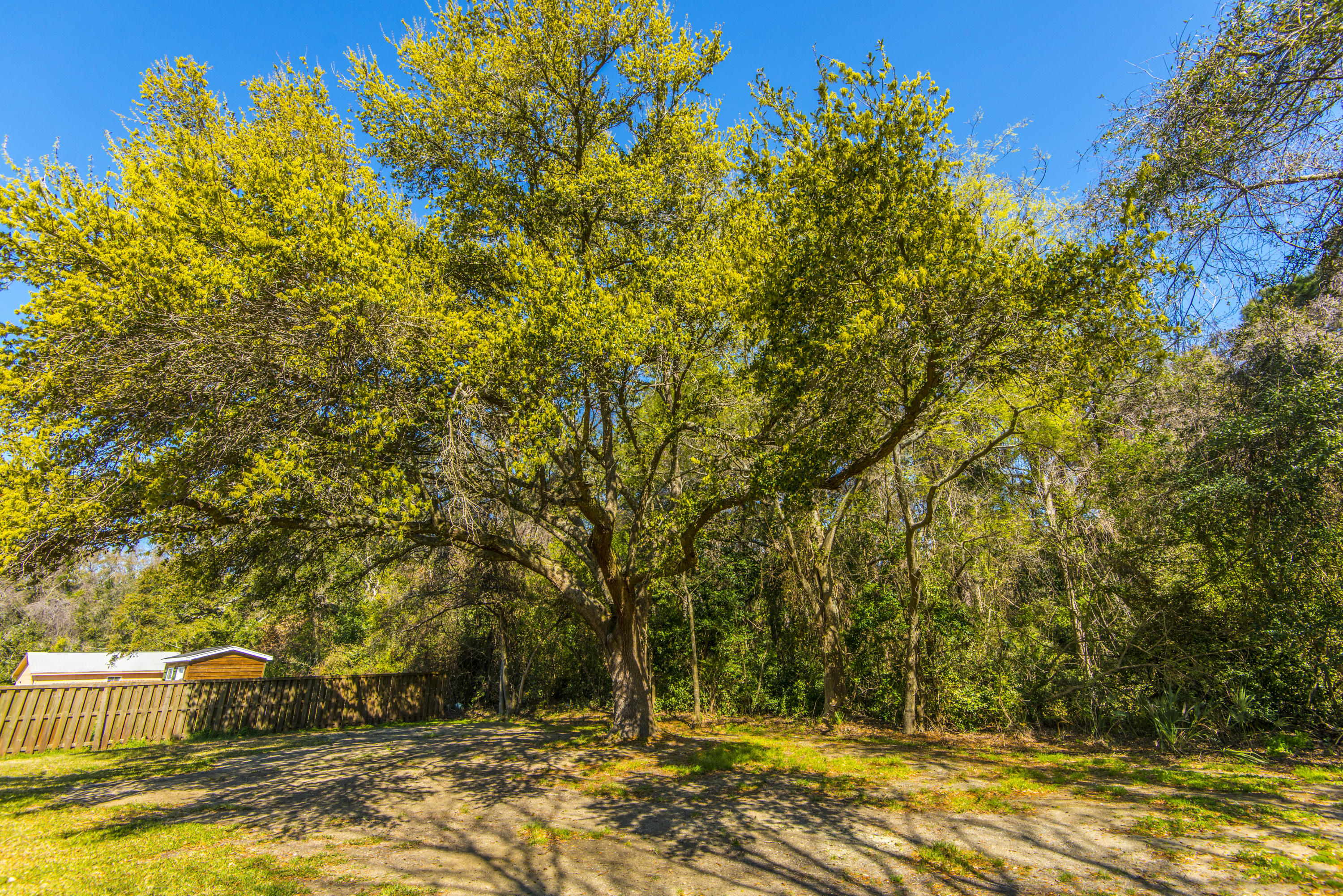 622 Schooner Road Charleston, SC 29412 - Photo 30 of 31 _DSC2289