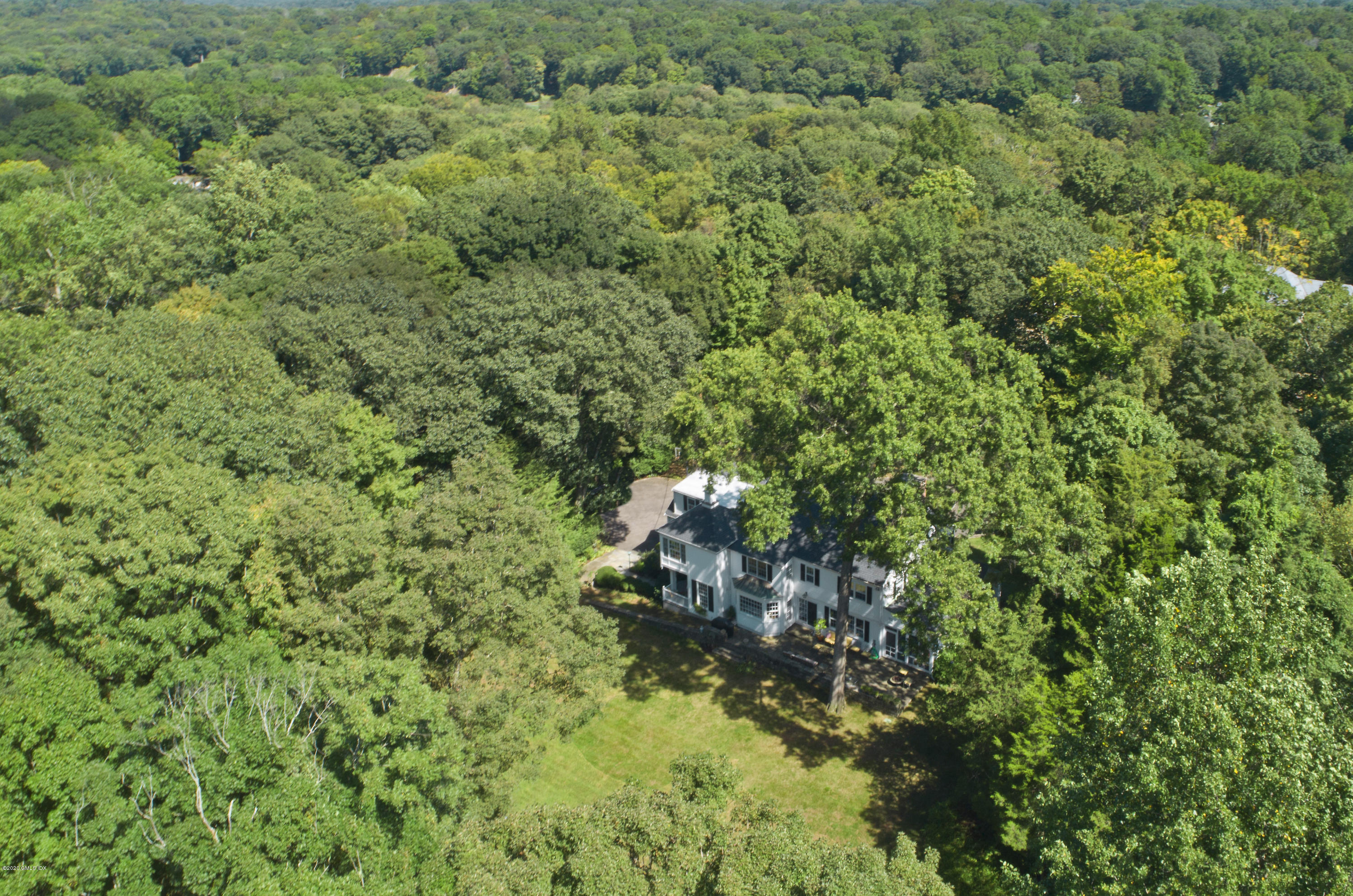 85 Perkins Road Greenwich, CT 06830 - Photo 35 of 36 a view of a lush green forest