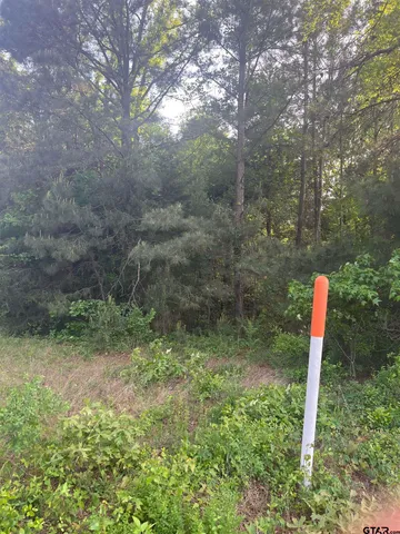 a backyard of a house with lots of green space and plants