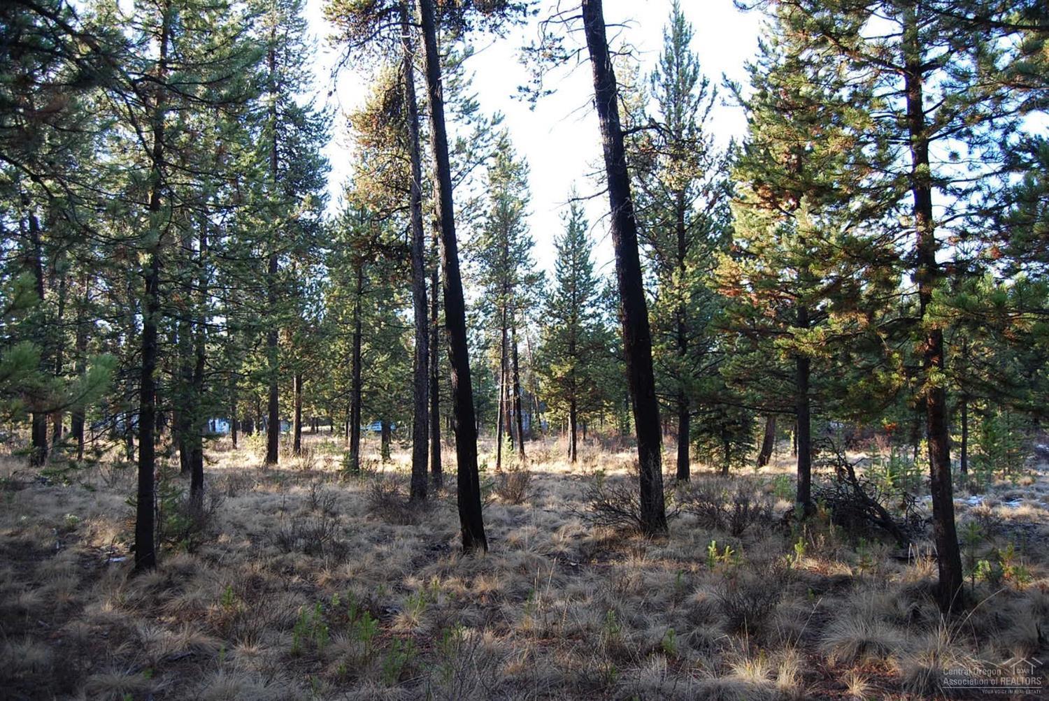 17194 Jacinto Road Bend, OR 97707 - Photo 6 of 7 NE corner looking into property.