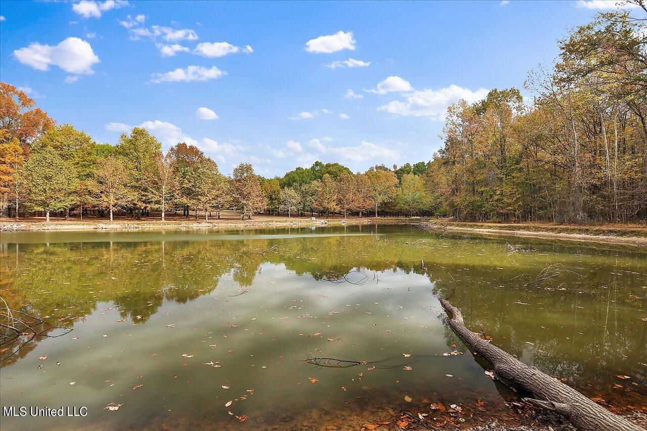 619 Old Agency Road Ridgeland, MS 39157 - Photo 65 of 70 67-619 Old Agency Rd