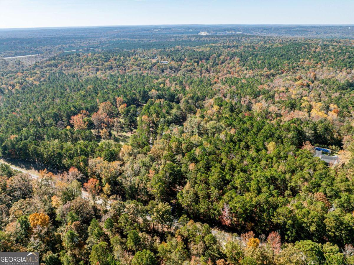 385 Stembridge Road Southeast Milledgeville, GA 31061 - Photo 70 of 81 a view of a city with lush green forest