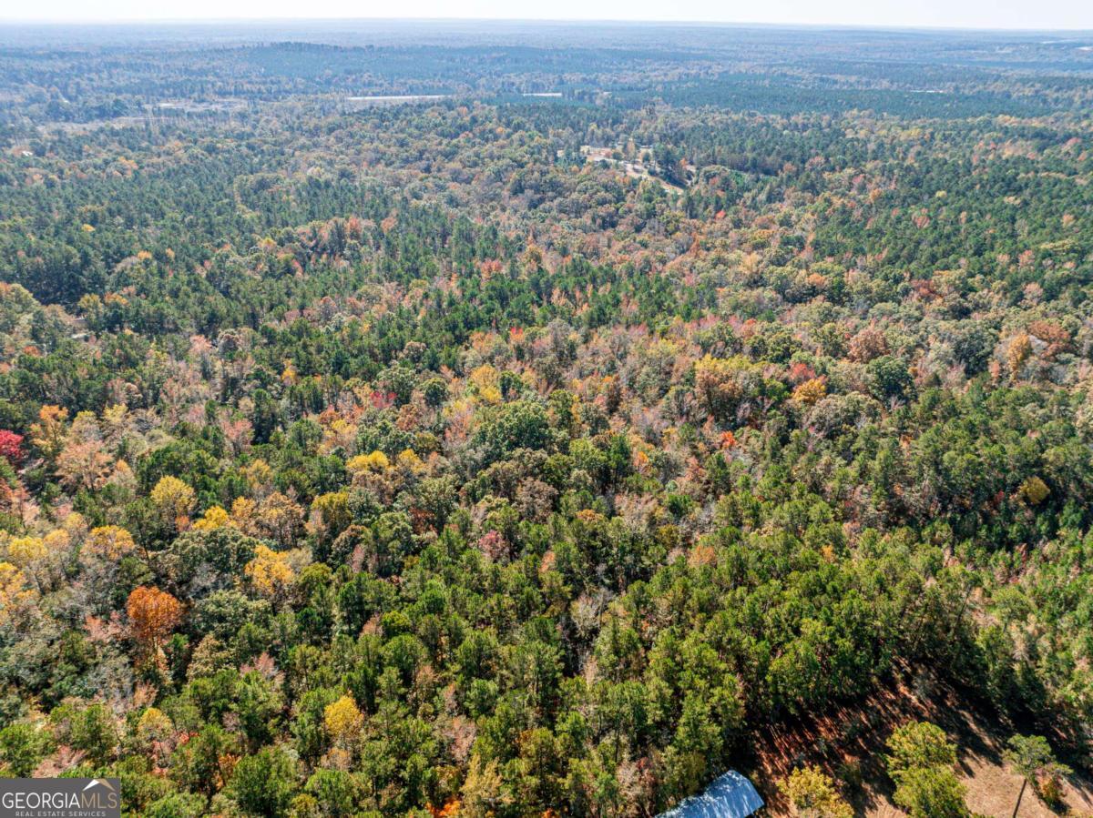 385 Stembridge Road Southeast Milledgeville, GA 31061 - Photo 75 of 81 an aerial view of houses covered in trees