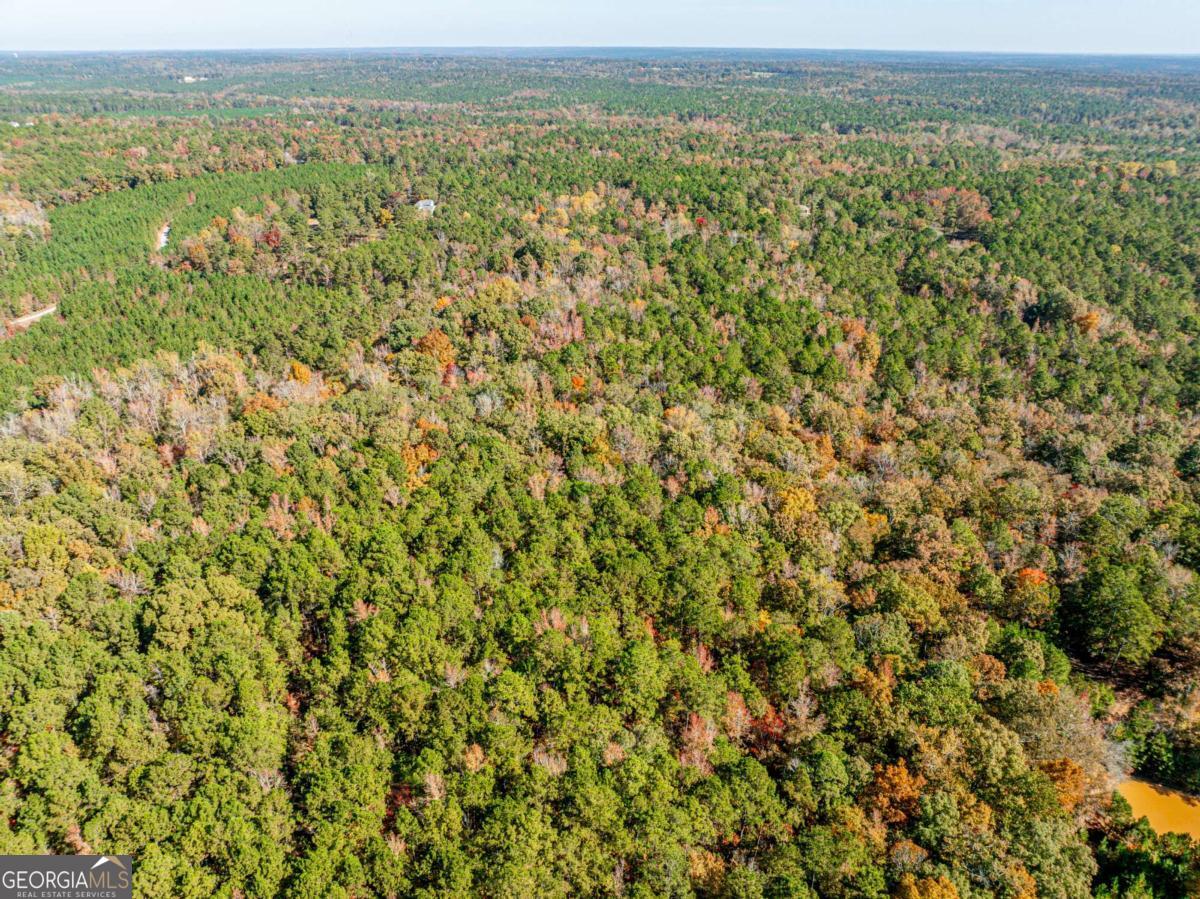 385 Stembridge Road Southeast Milledgeville, GA 31061 - Photo 77 of 81 a view of a city with lush green forest