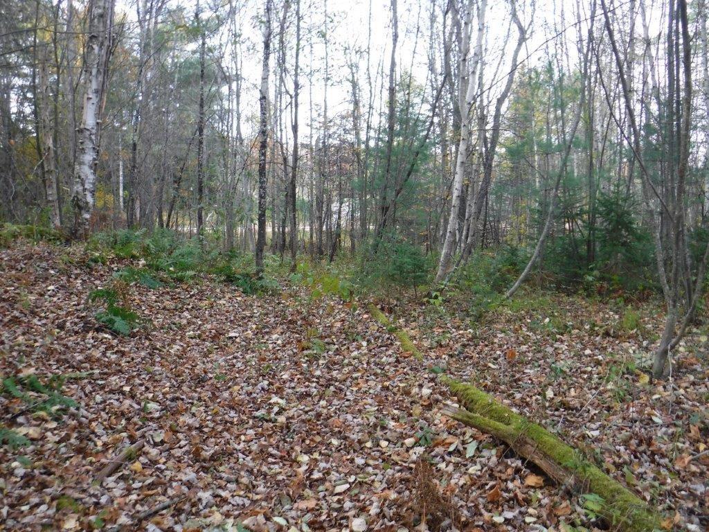 54 Bailey Road Andover, ME 04216 - Photo 1 of 6 Primary Photo