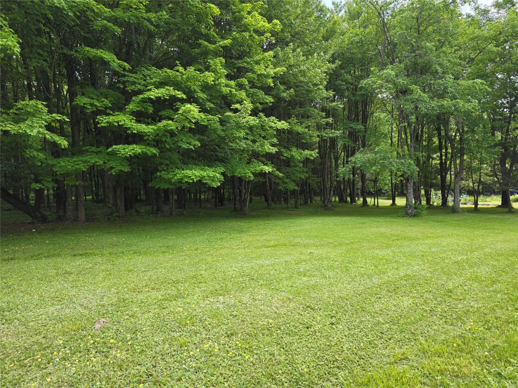 258 Piper Hill Road Windsor, NY 13865 - Photo 11 of 49 Gallery Image 11