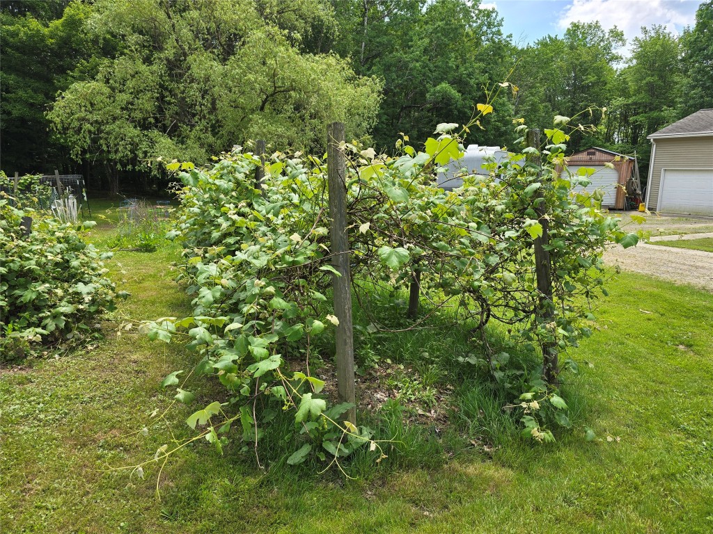 258 Piper Hill Road Windsor, NY 13865 - Photo 13 of 49 Gallery Image 13