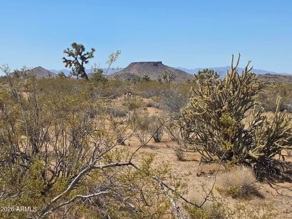 a view of a dry field with mountains in the background