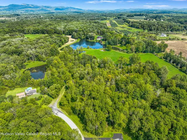 a view of a lush green outdoor space with a lake view and mountain view
