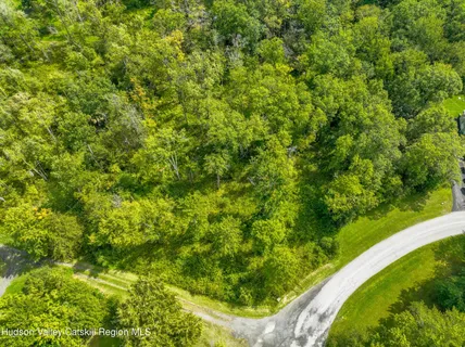 a view of a yard with a tree