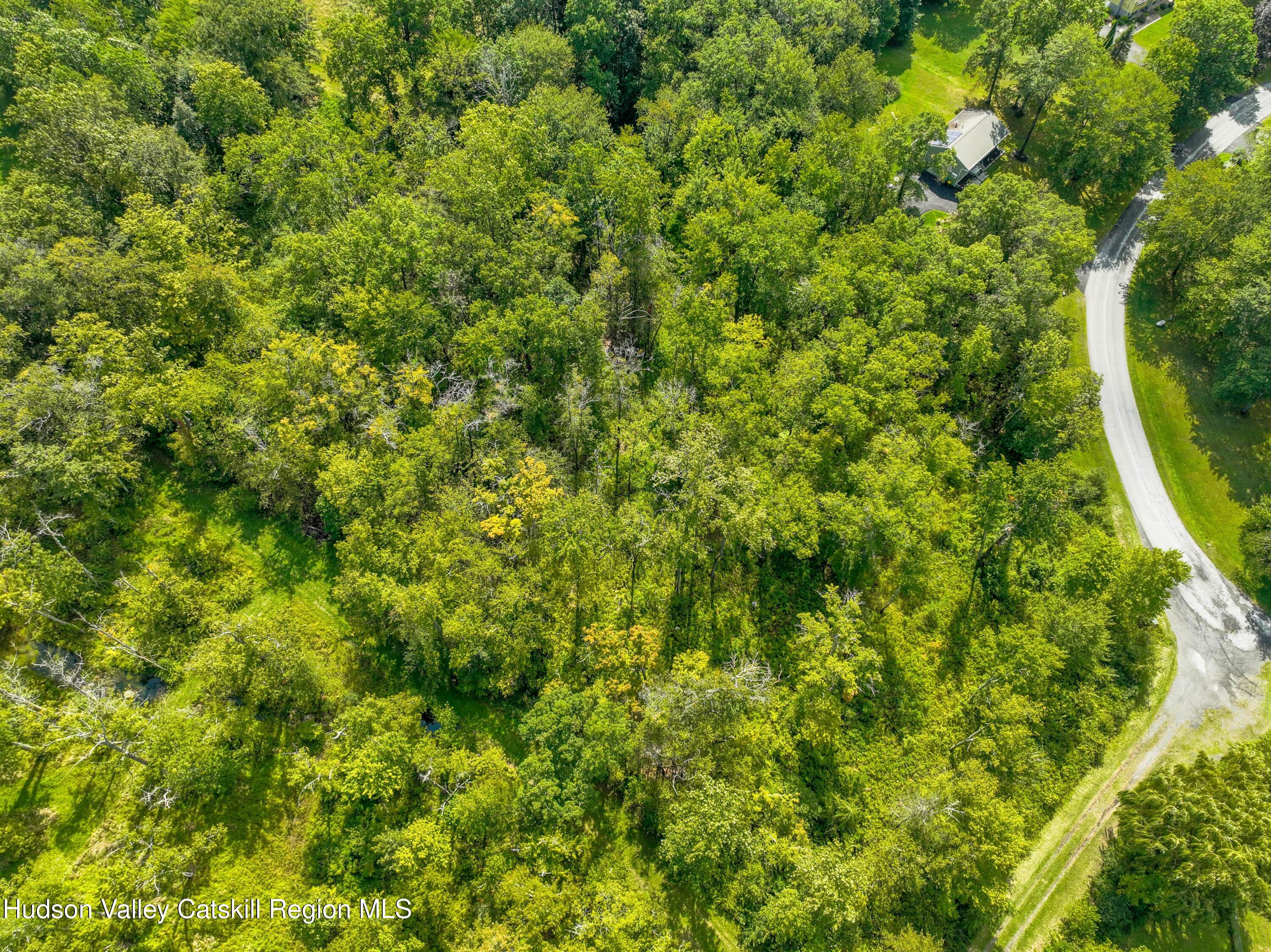 Tbd Michelle Drive Gardiner, NY 12525 - Photo 5 of 10 a view of a lush green forest