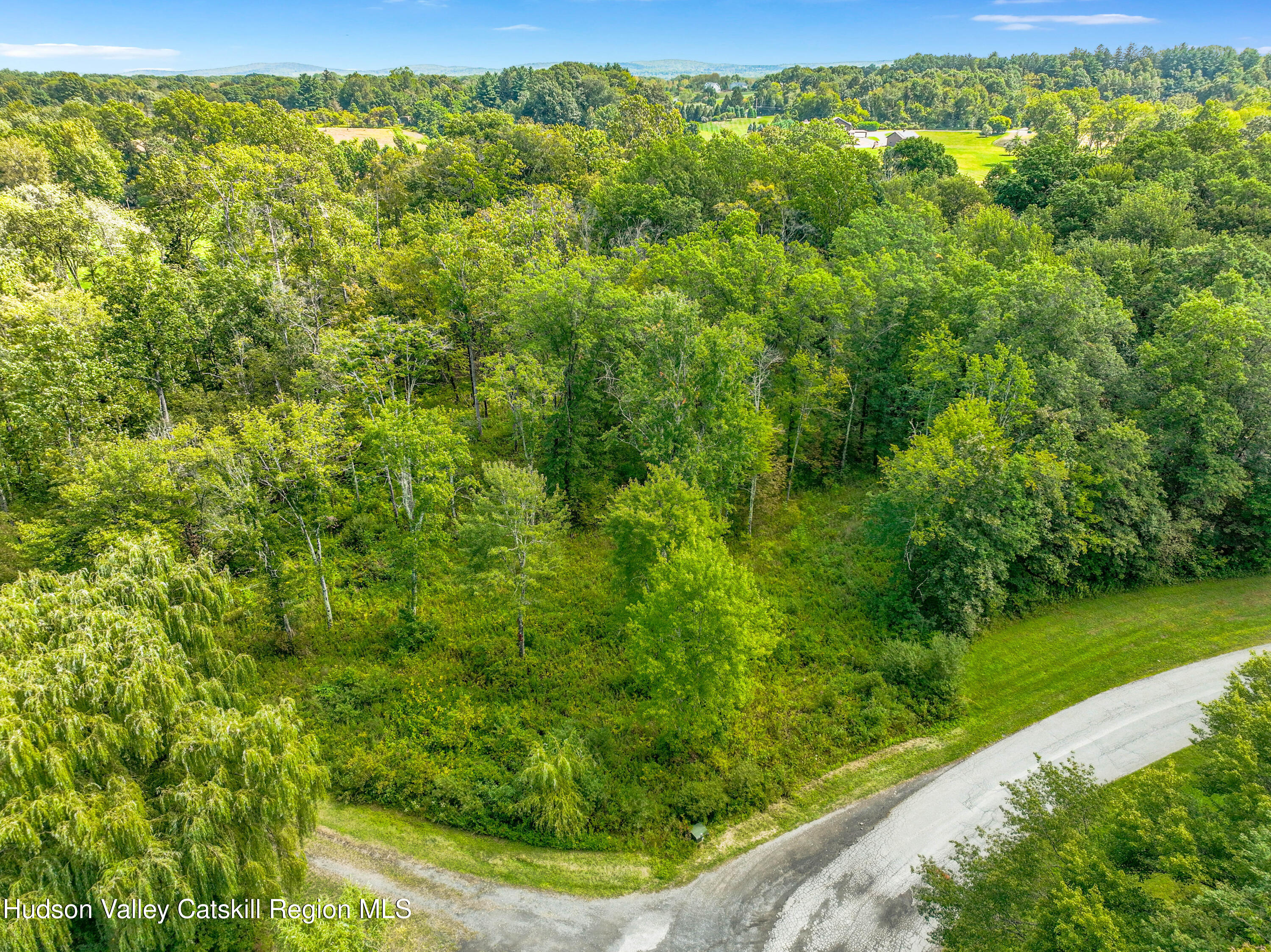 Tbd Michelle Drive Gardiner, NY 12525 - Photo 7 of 10 a view of a forest
