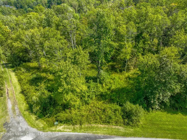 a view of a lush green forest with lots of trees