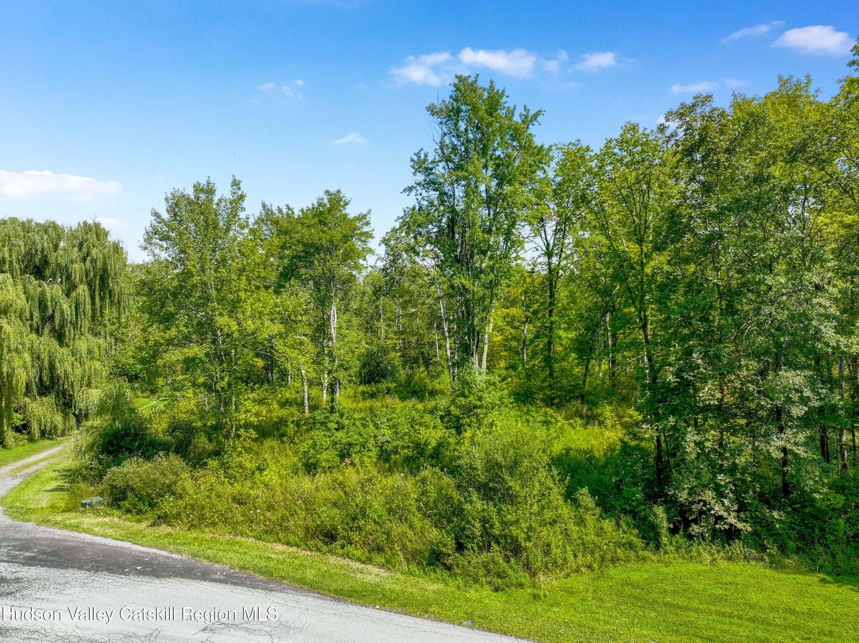 Tbd Michelle Drive Gardiner, NY 12525 - Photo 9 of 10 a view of a garden