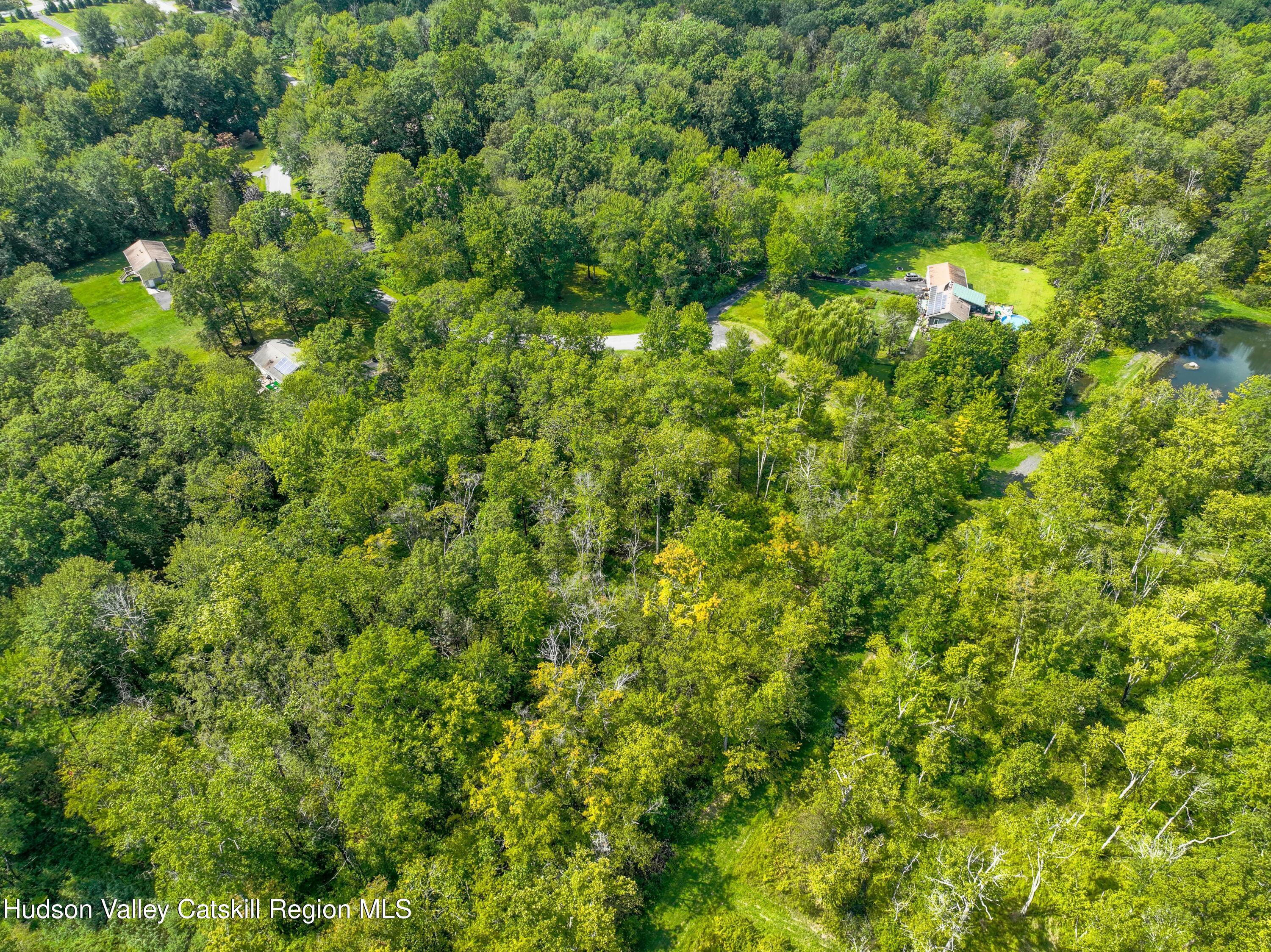 Tbd Michelle Drive Gardiner, NY 12525 - Photo 10 of 10 a view of a lush green forest with lots of trees