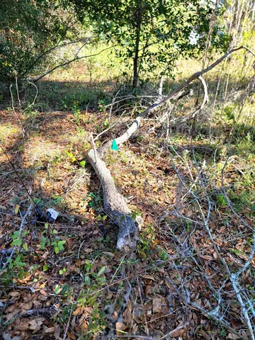 $29,500 | 842 Ridge Road, Tallahassee, FL 32305