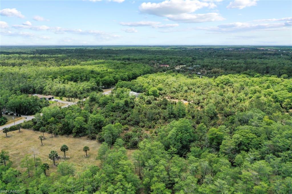 0 37th Avenue Northeast Naples, FL 34120 - Photo 22 of 35 a view of a green field with lots of bushes