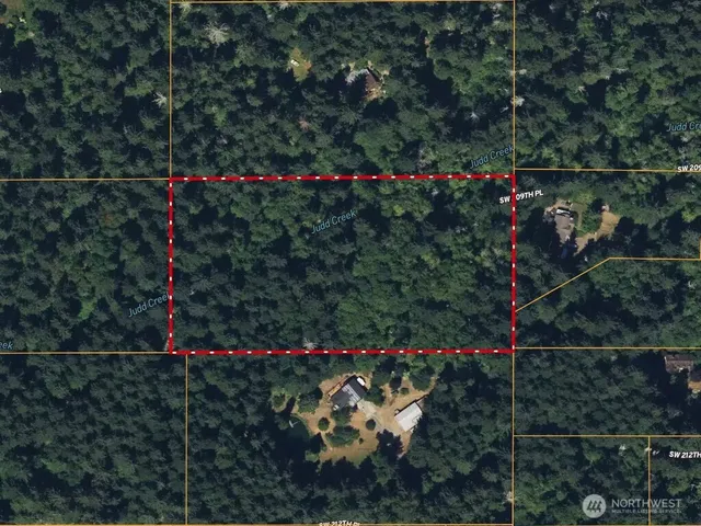 a view of a flower in a yard and a wooden fence