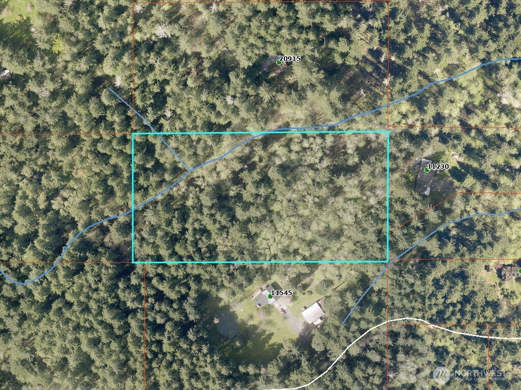 120-xx Southwest 208th Street Vashon, WA 98070 - Photo 6 of 10 a close up of a plant