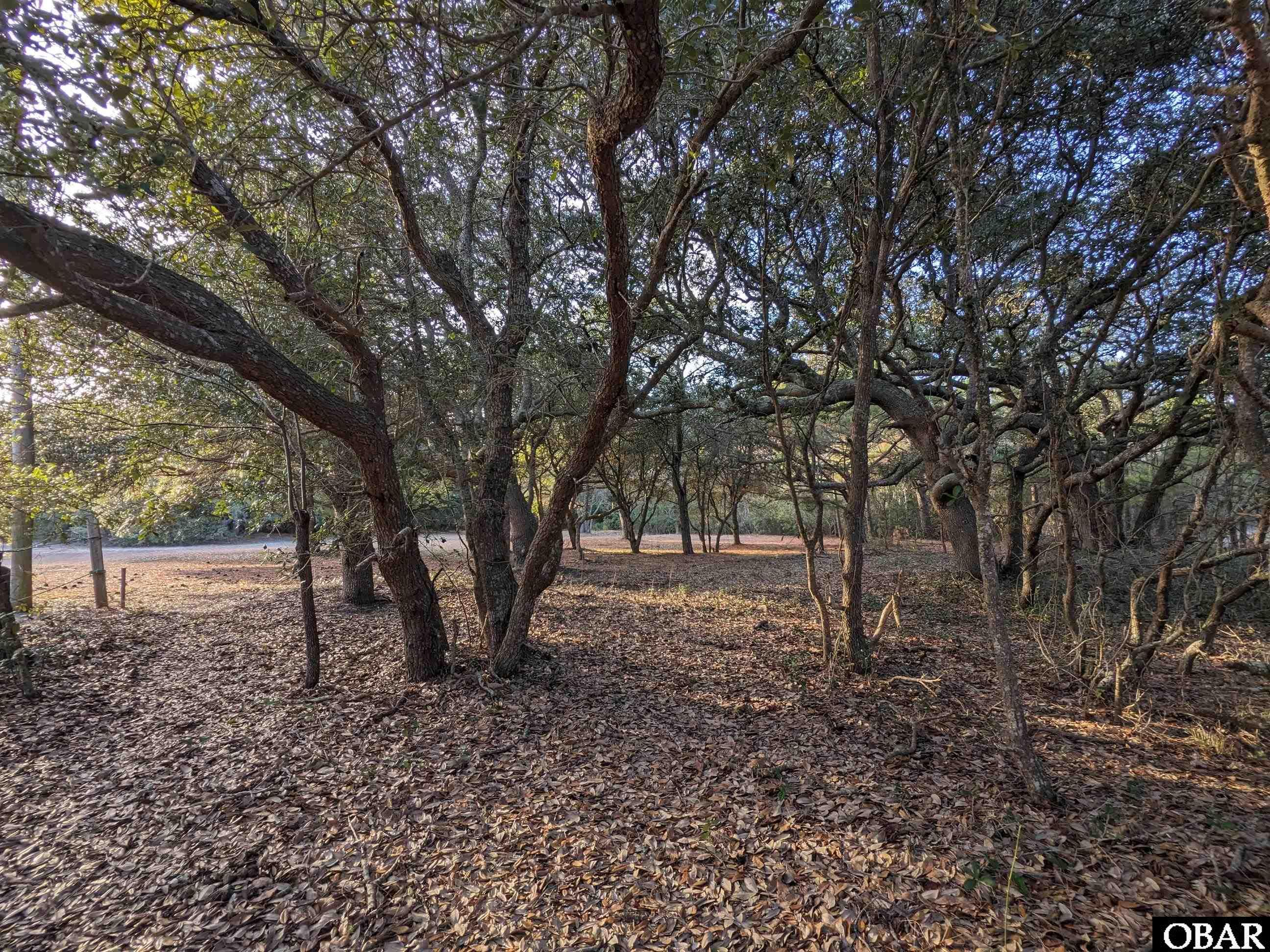 2008 Ocean Pearl Road Corolla, NC 27927 - Photo 3 of 15