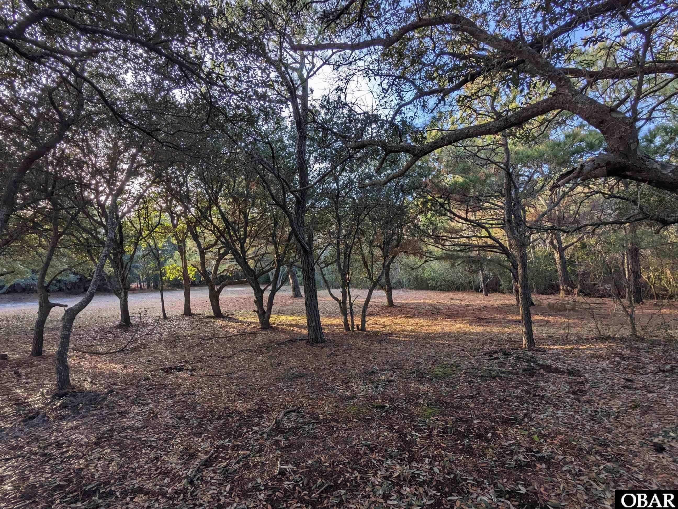 2008 Ocean Pearl Road Corolla, NC 27927 - Photo 5 of 15