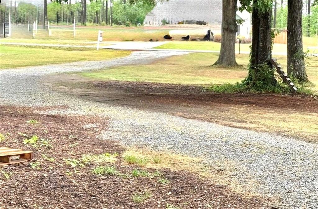 338 Liberty Hill Road Hartwell, GA 30643 - Photo 25 of 26