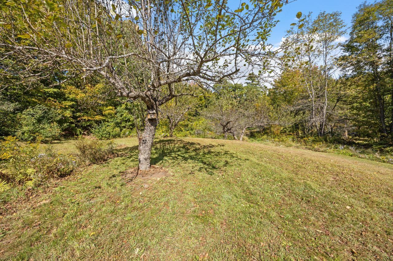 815 Peaked Hill Road Bristol, NH 03222 - Photo 16 of 47