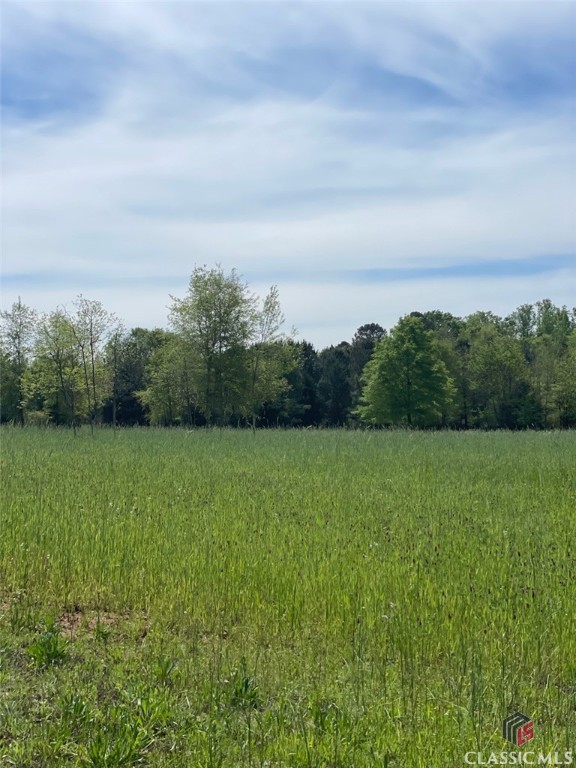 2080 A Apalachee Road Madison, GA 30650 - Photo 1 of 1