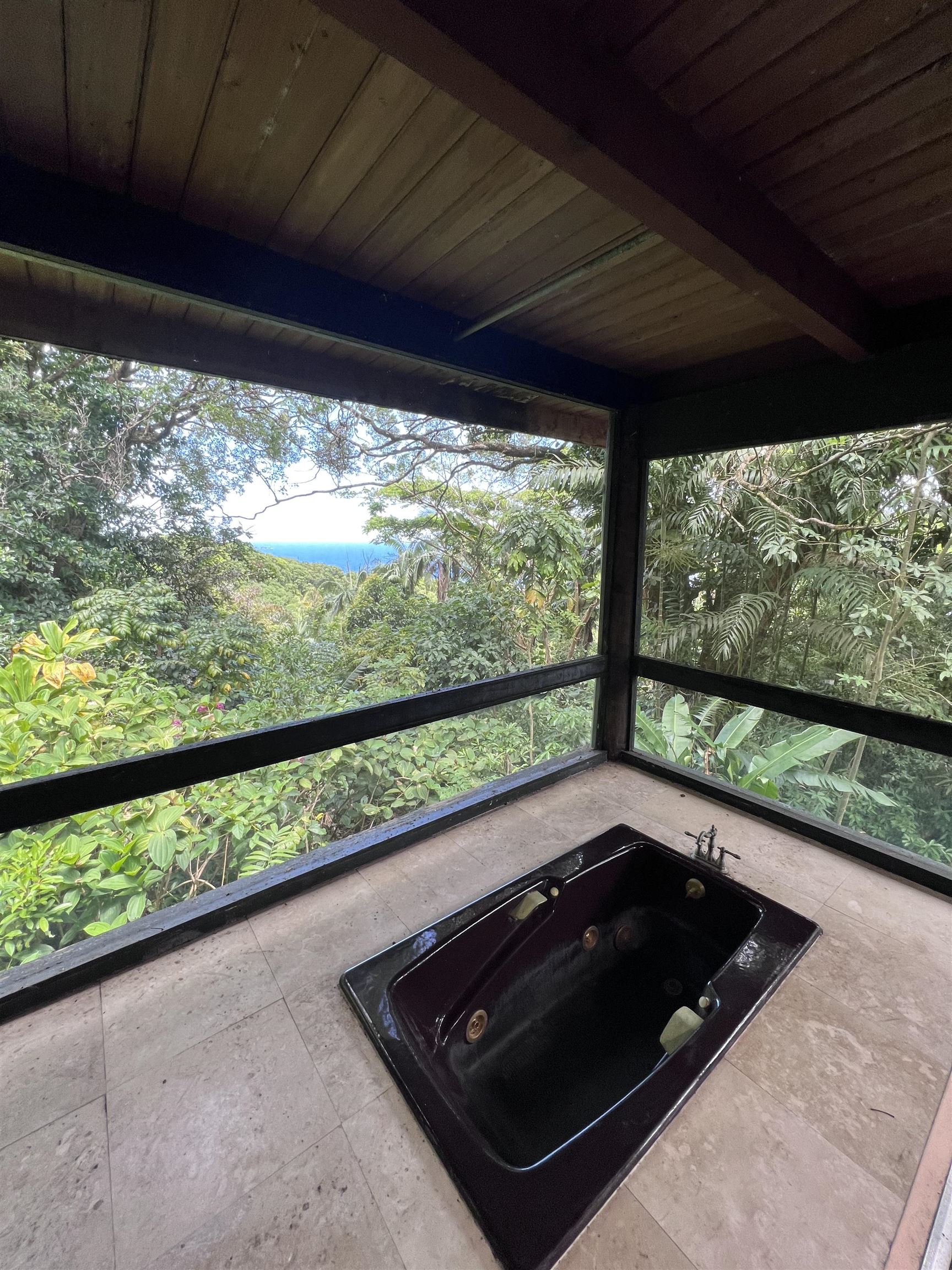 810 Nahiku Road Haiku, HI 96708 - Photo 12 of 50 a view of sitting area in the back yard