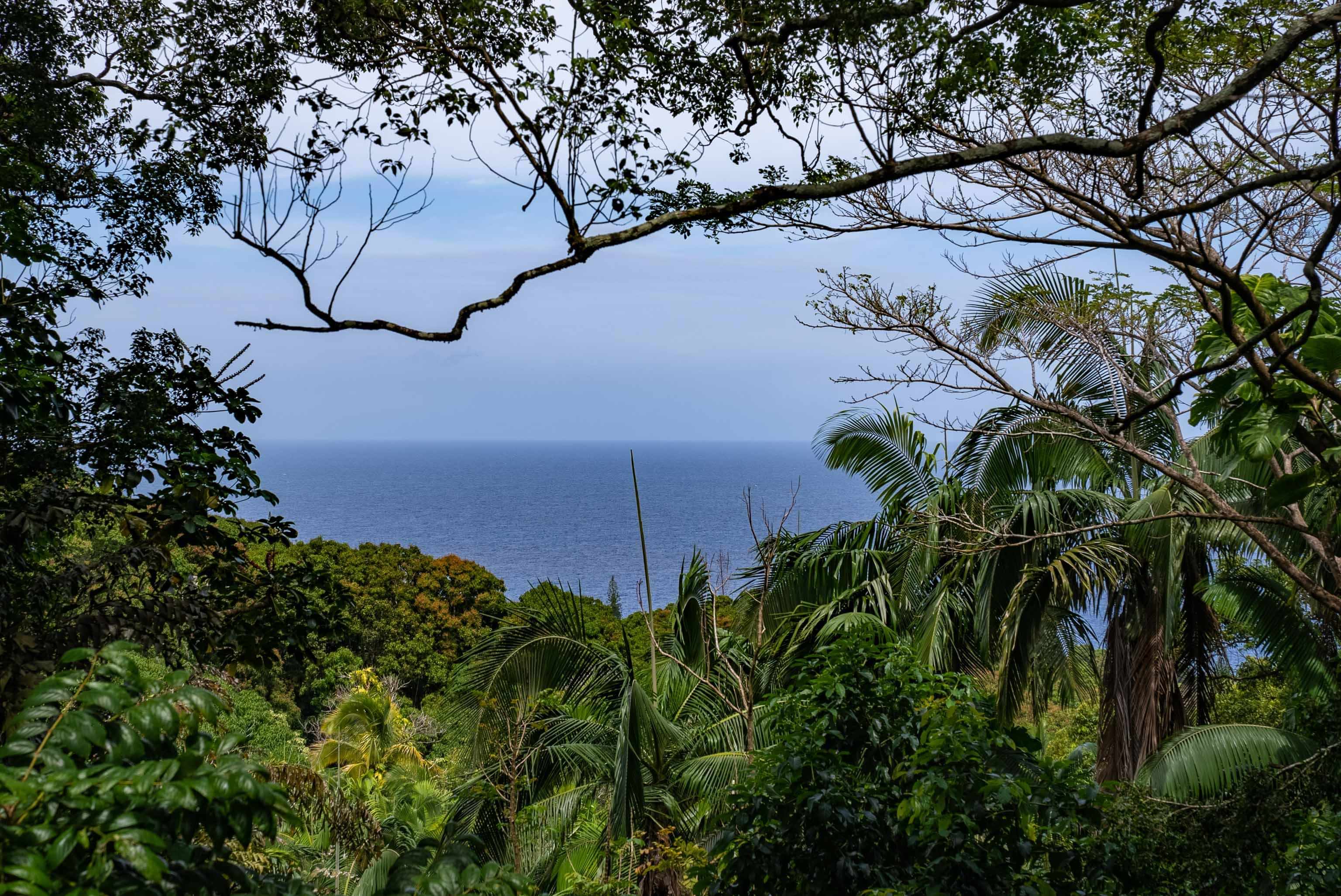 810 Nahiku Road Haiku, HI 96708 - Photo 2 of 50 a view of a garden
