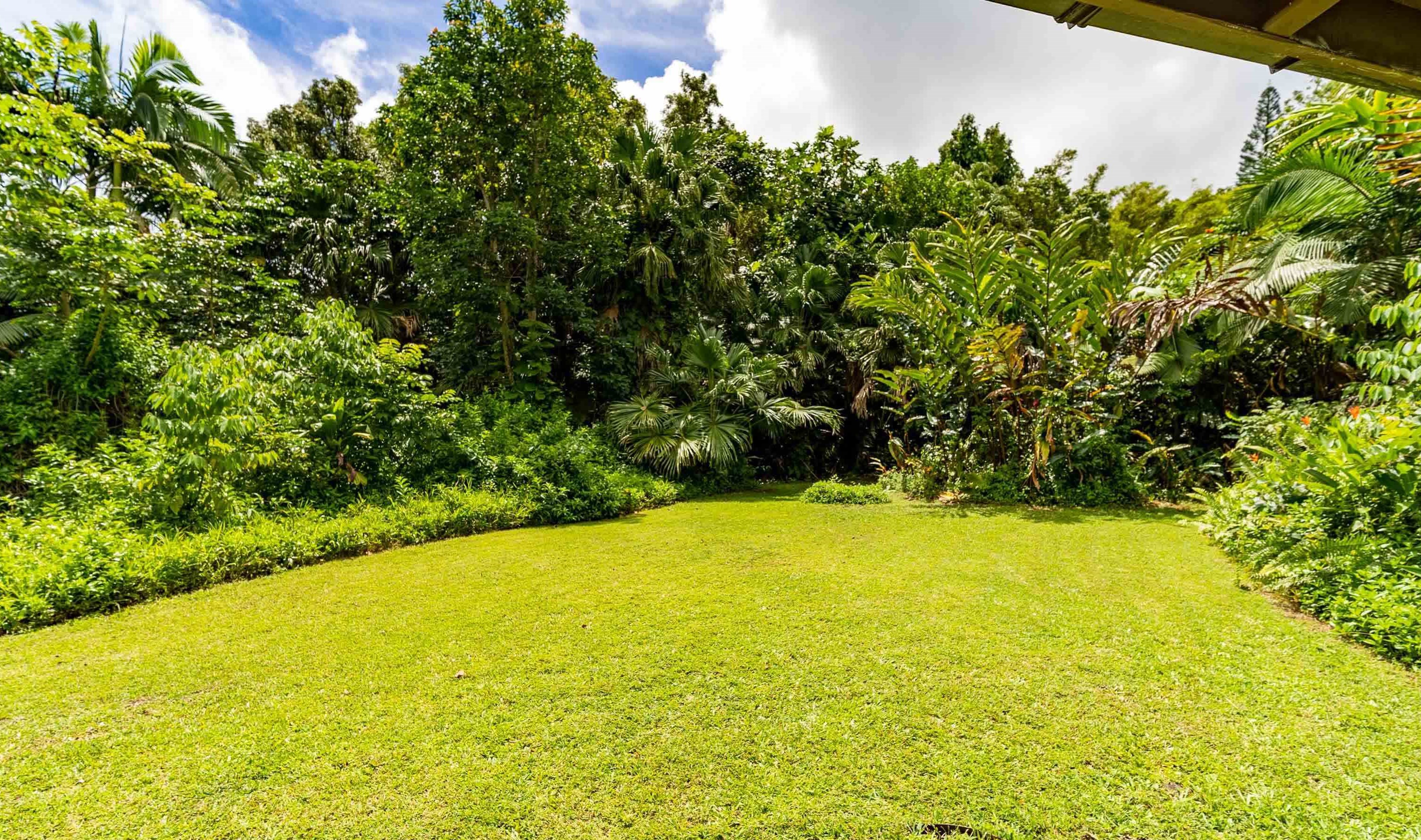 810 Nahiku Road Haiku, HI 96708 - Photo 30 of 50 a view of a large yard with plants and wooden fence