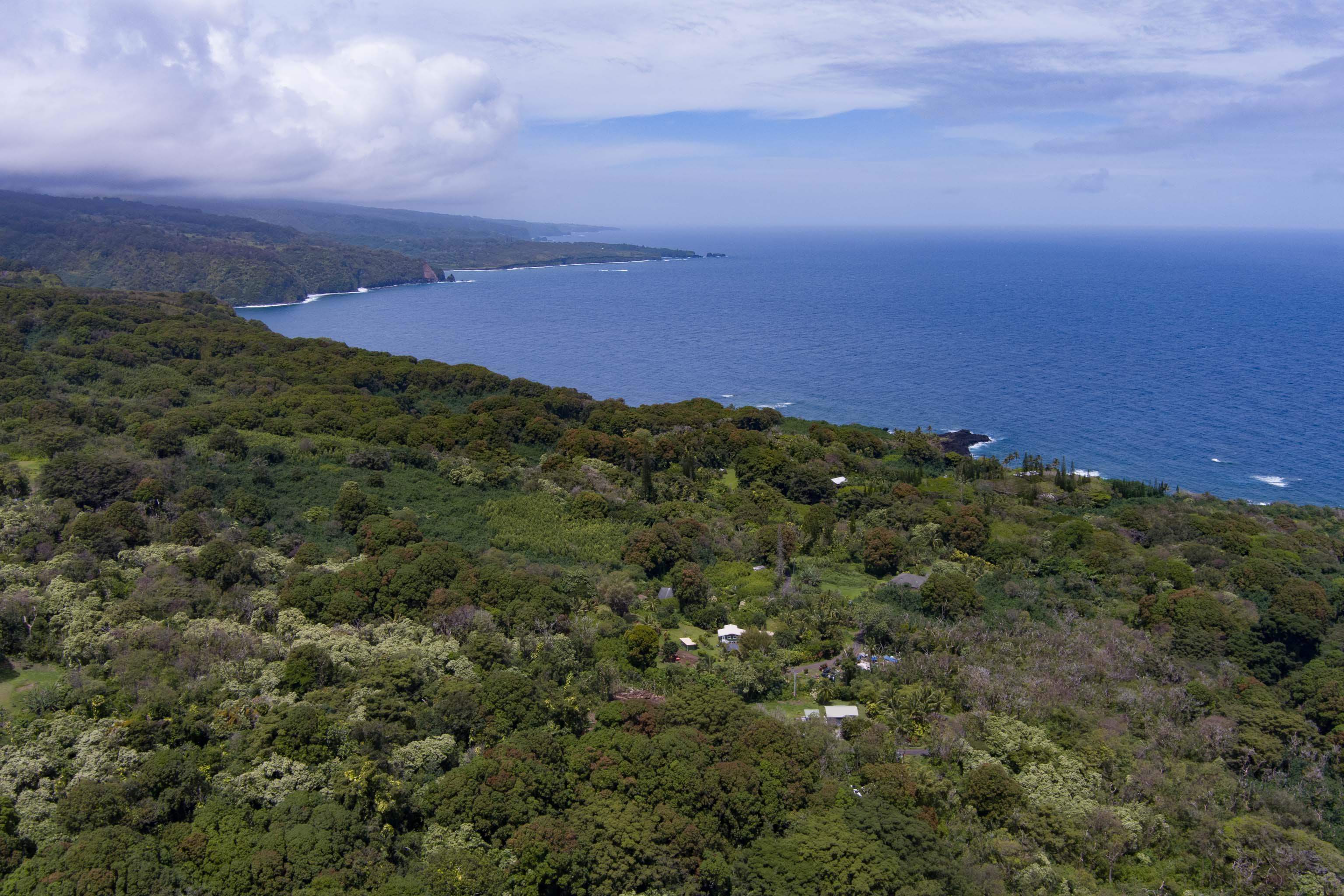 810 Nahiku Road Haiku, HI 96708 - Photo 3 of 50 an aerial view of a houses with a yard