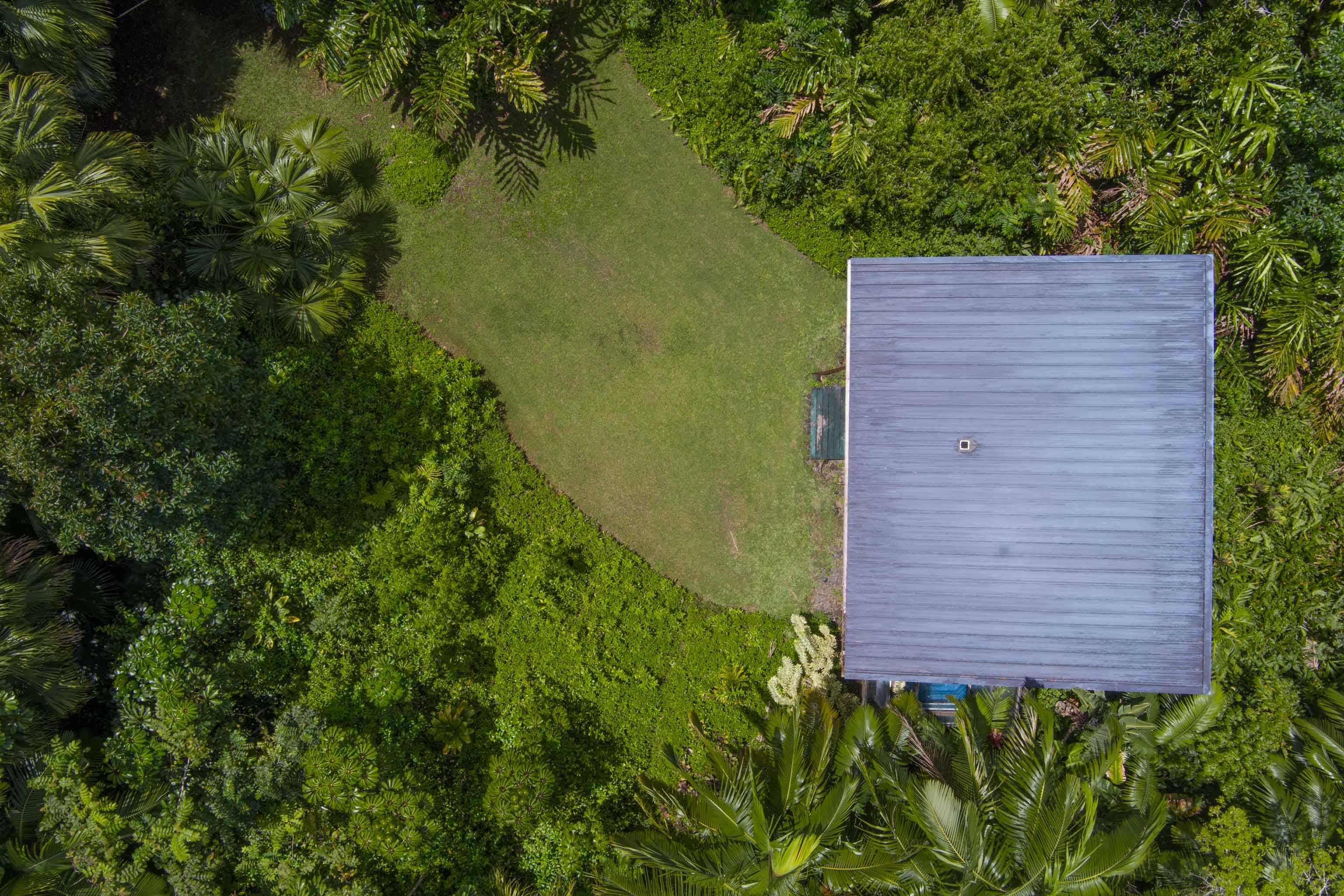 810 Nahiku Road Haiku, HI 96708 - Photo 36 of 50 a view of front of a house with a yard