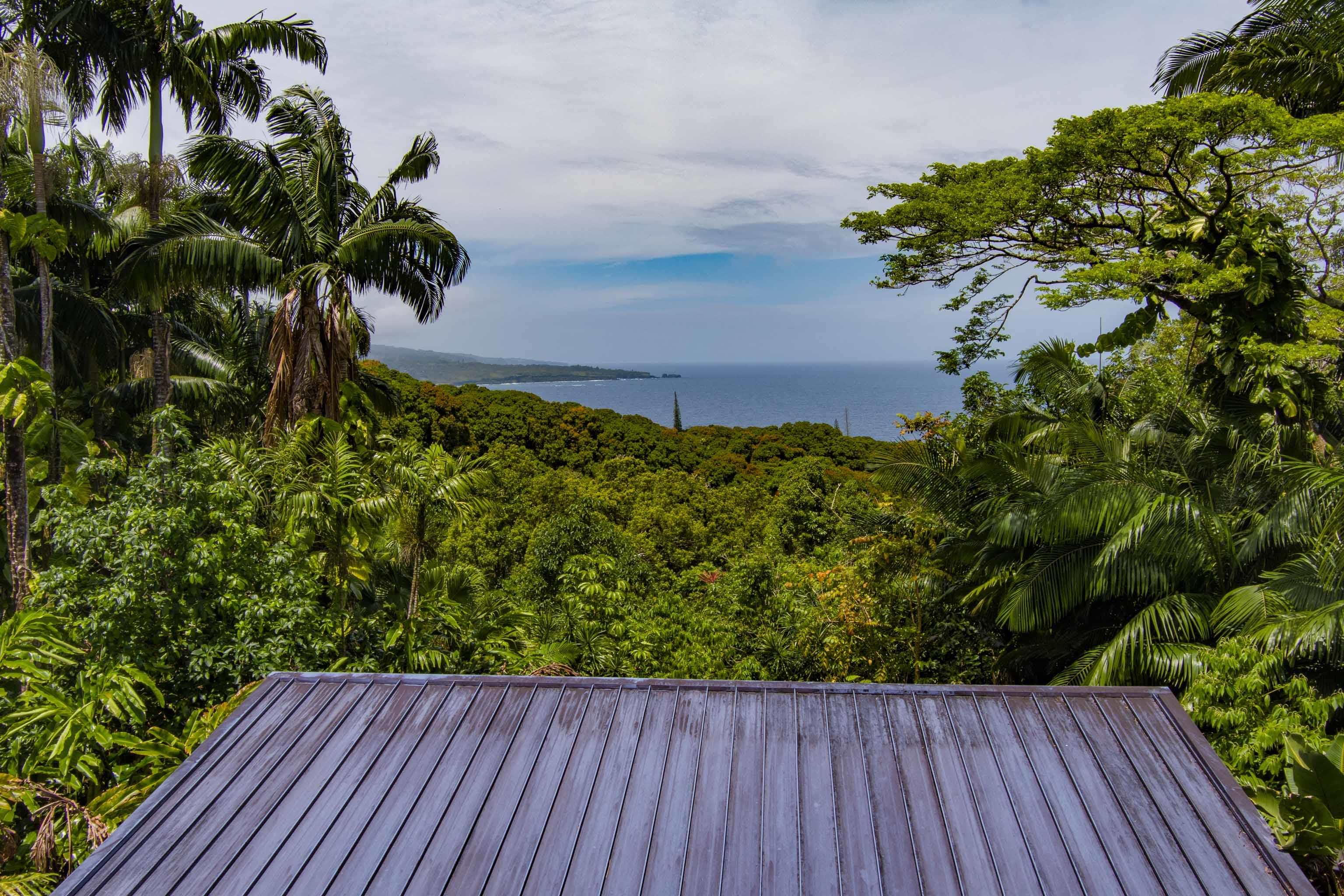 810 Nahiku Road Haiku, HI 96708 - Photo 37 of 50 a view of outdoor space with deck