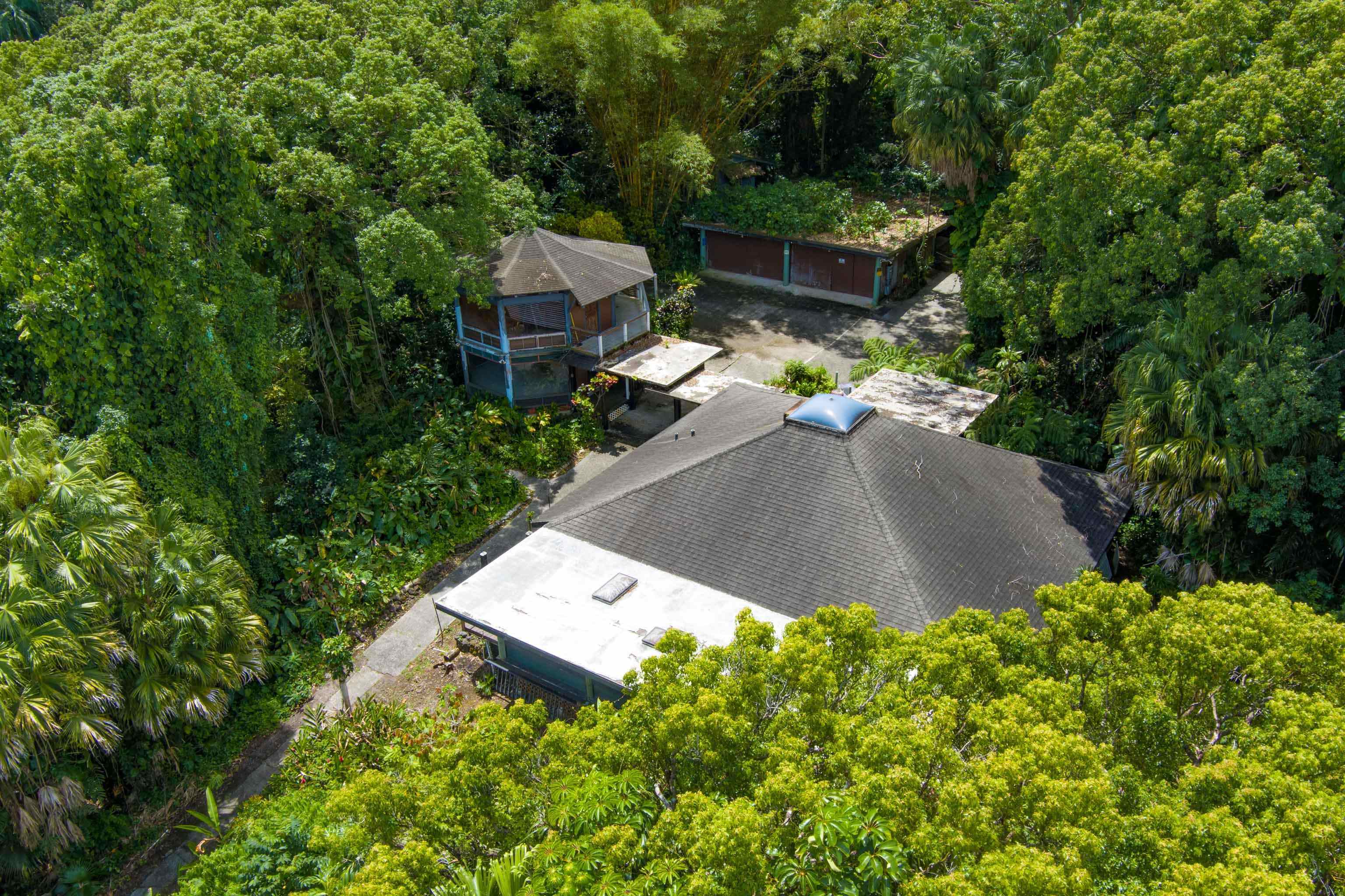 810 Nahiku Road Haiku, HI 96708 - Photo 39 of 50 an aerial view of a house with a yard and large trees