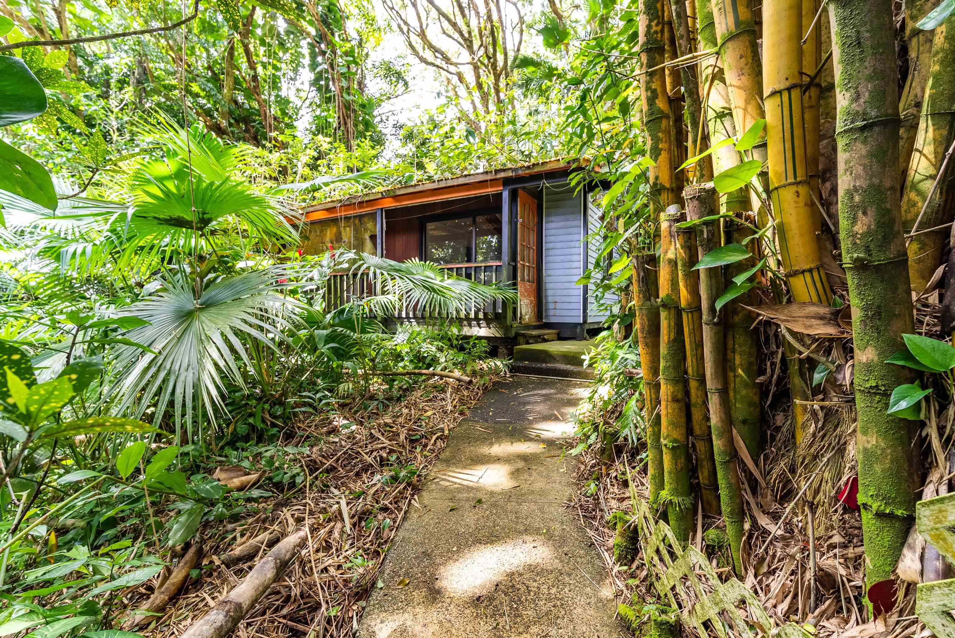 810 Nahiku Road Haiku, HI 96708 - Photo 40 of 50 a front view of a house with a yard