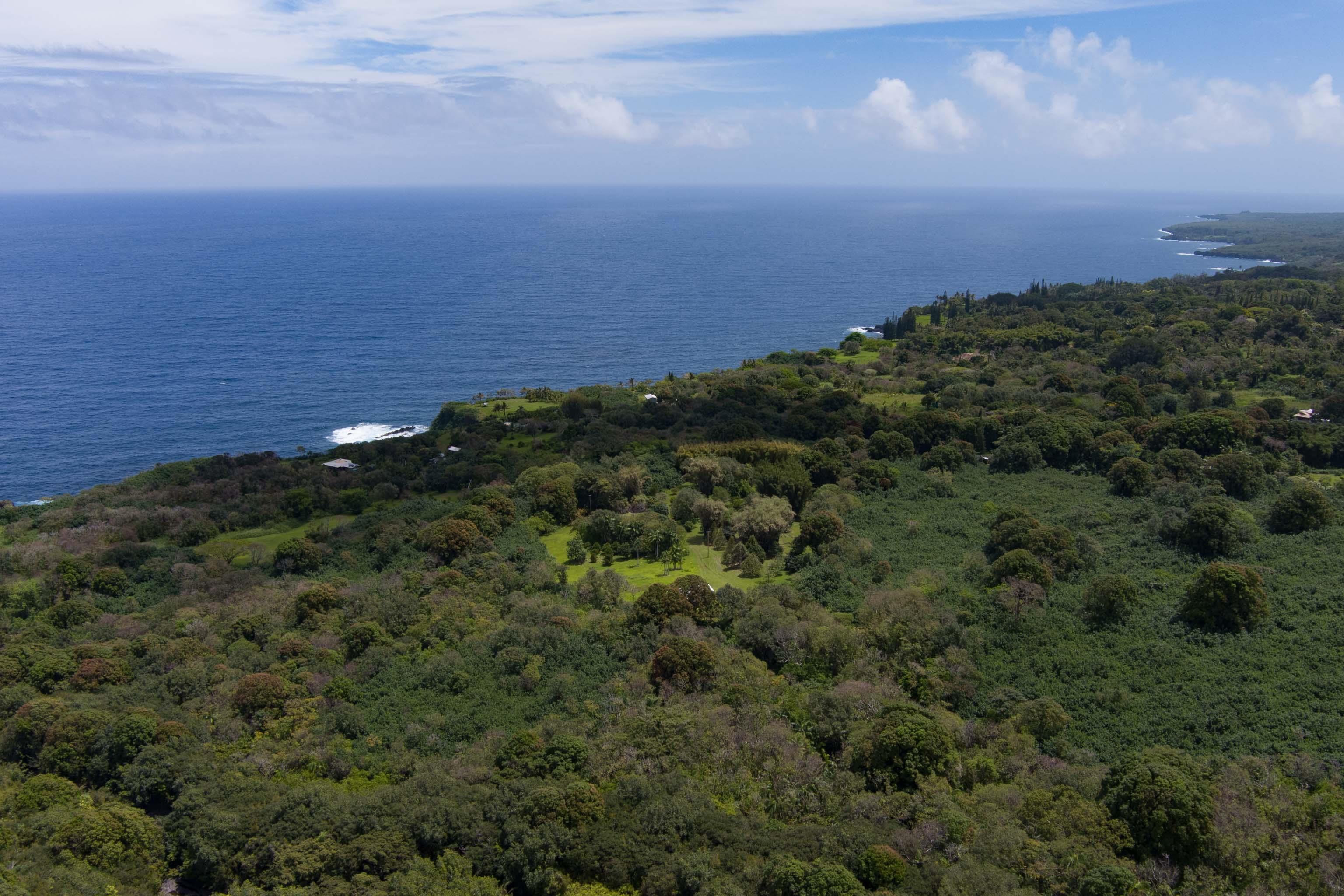 810 Nahiku Road Haiku, HI 96708 - Photo 4 of 50 a view of a large building with lots of trees in background