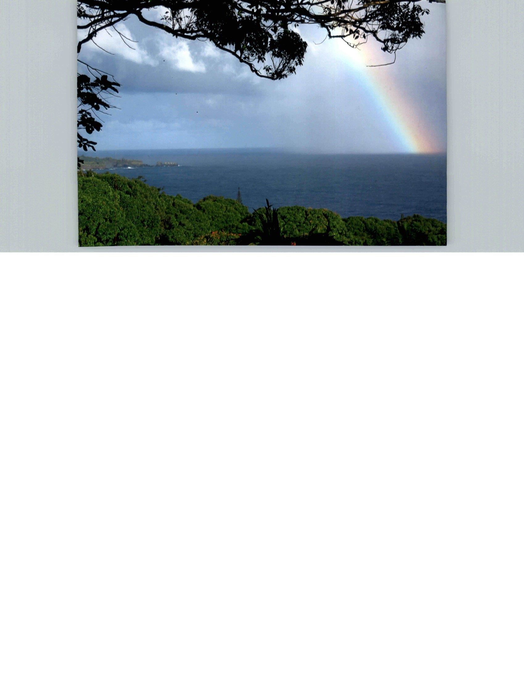 810 Nahiku Road Haiku, HI 96708 - Photo 48 of 50 a black and white photo of a lake