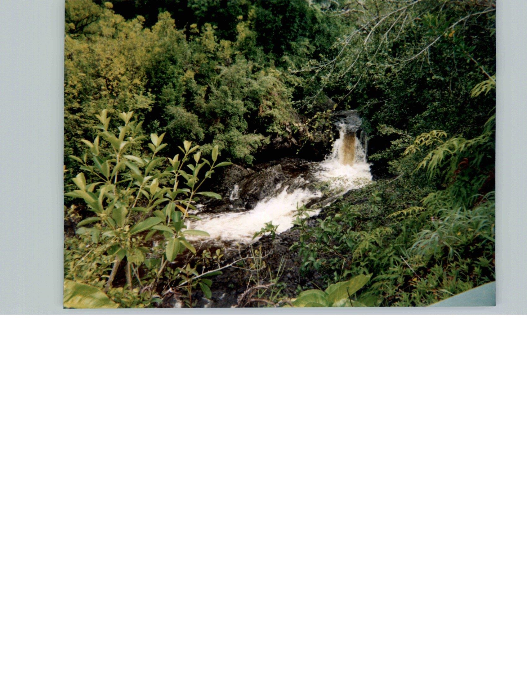 810 Nahiku Road Haiku, HI 96708 - Photo 49 of 50 a view of a yard