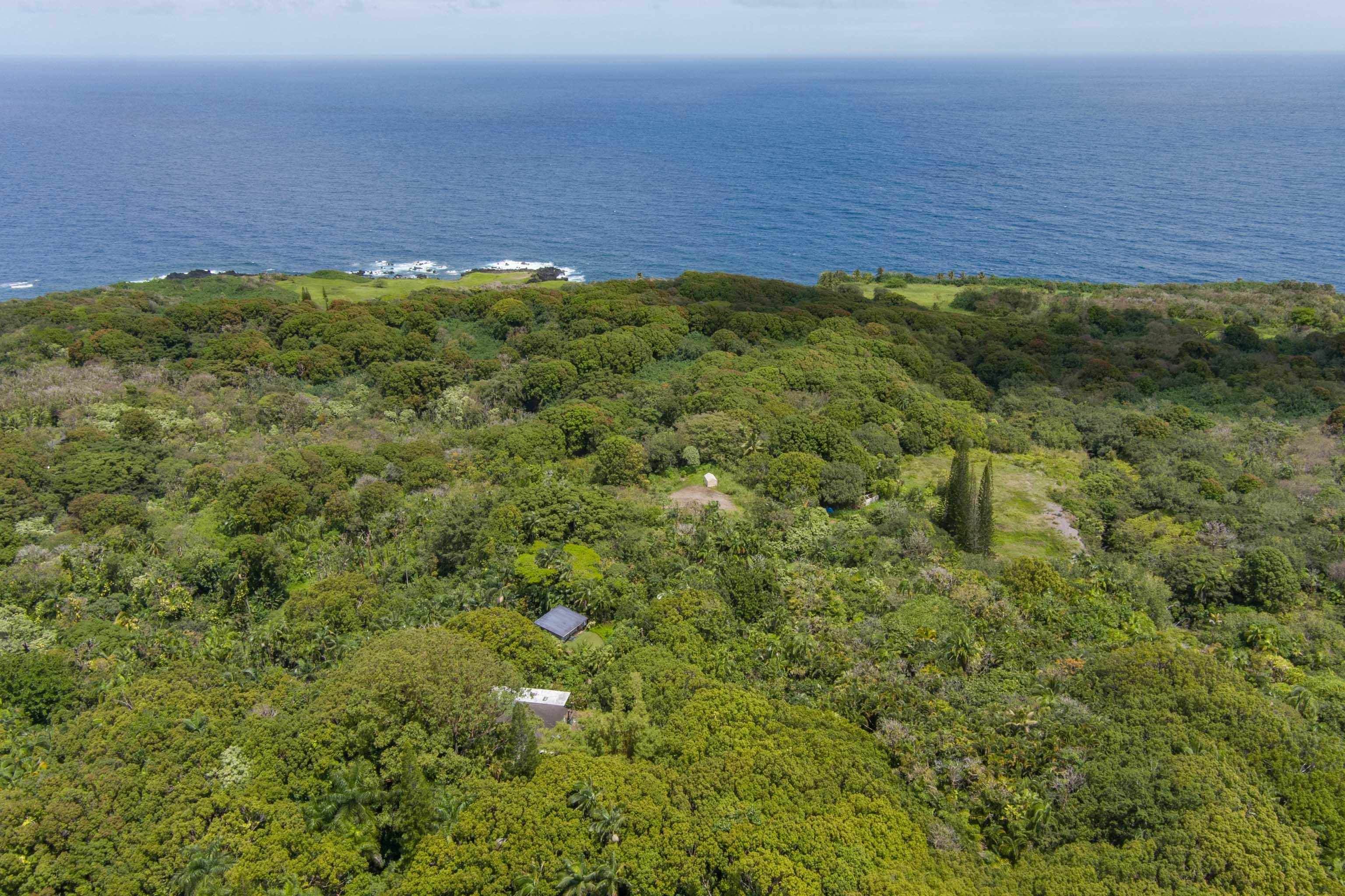 810 Nahiku Road Haiku, HI 96708 - Photo 5 of 50 a view of a field with an ocean