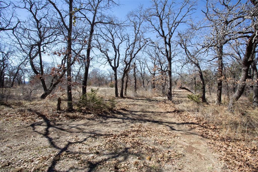 1250 Canyon Road Graham, TX 76450 - Photo 23 of 40 a view of covered with snow