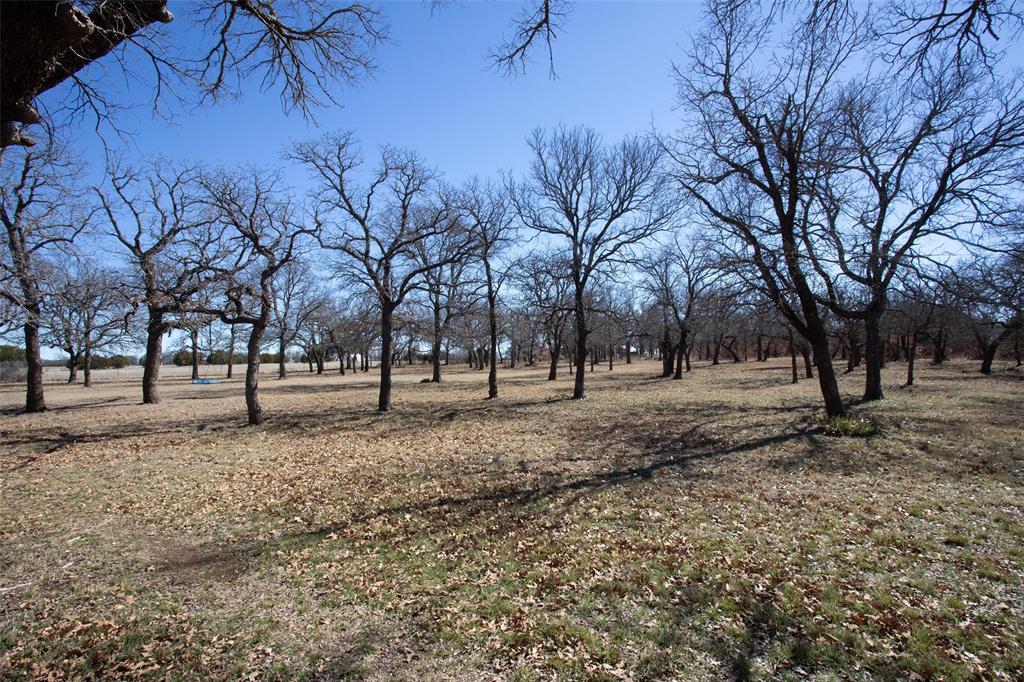 1250 Canyon Road Graham, TX 76450 - Photo 25 of 40 a view of outdoor space with trees