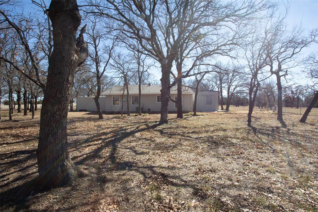 1250 Canyon Road Graham, TX 76450 - Photo 31 of 40 a large tree in the middle of a yard
